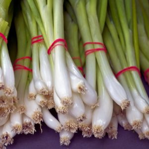 fresh green onion bunches, vegetables, food