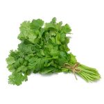 coriander